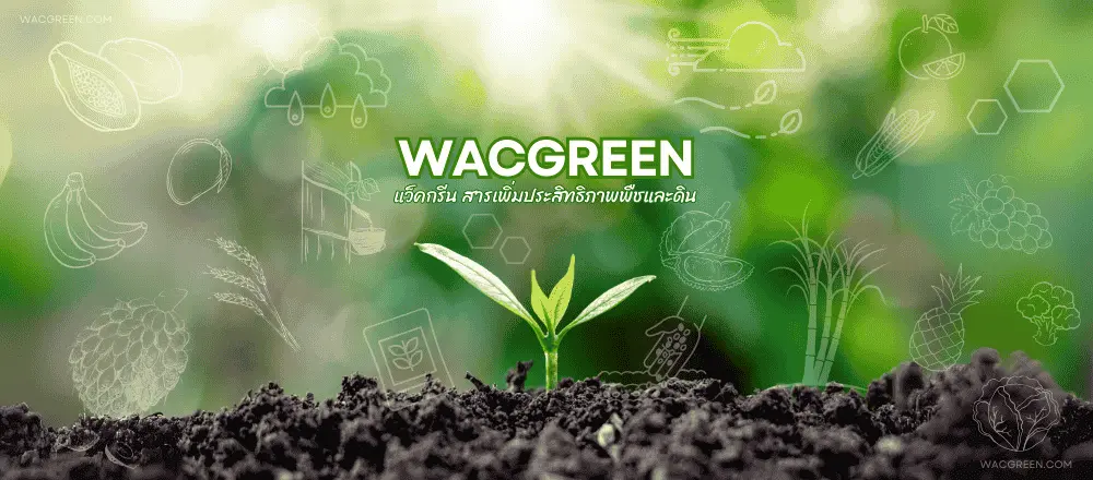 wacgreen-header-web